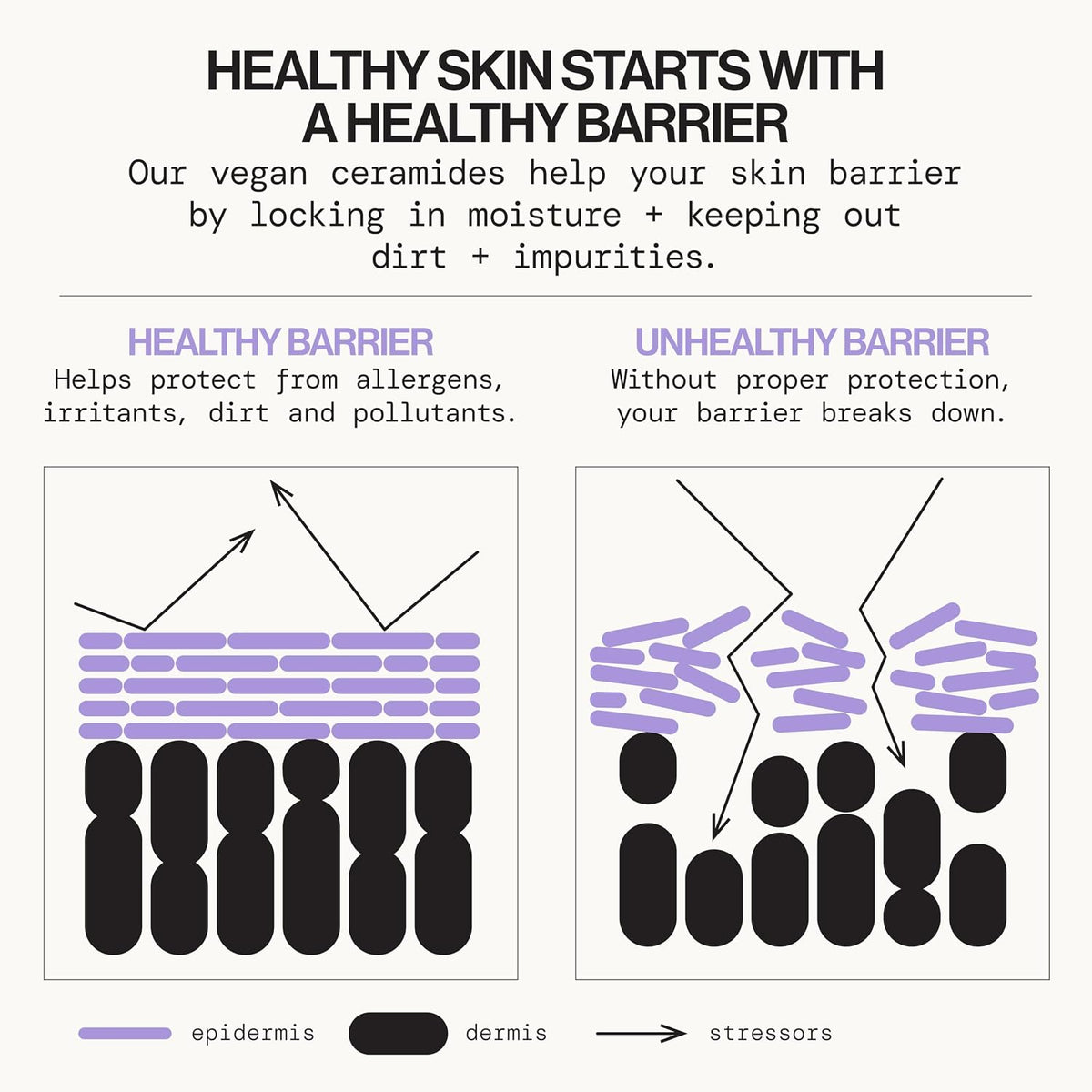 Gentle Facial Cleanser for Sensitive Skin - Vegan, Fragrance-Free, Ceramide Barrier Repair, Dermatologist Tested, Clean Beauty, and Cruelty-Free